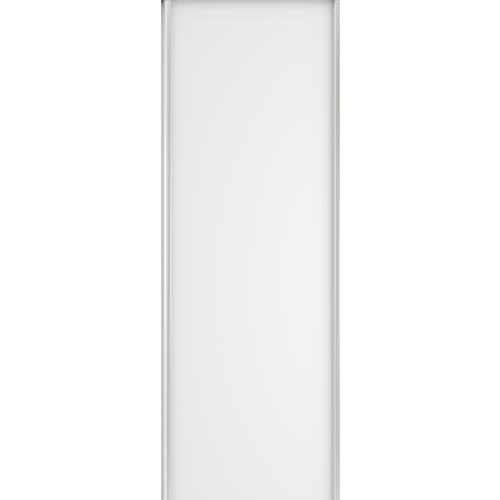 ДСП Белый 220х60 1 шт Дверь от шкафа- купе Экспресс 6097₽