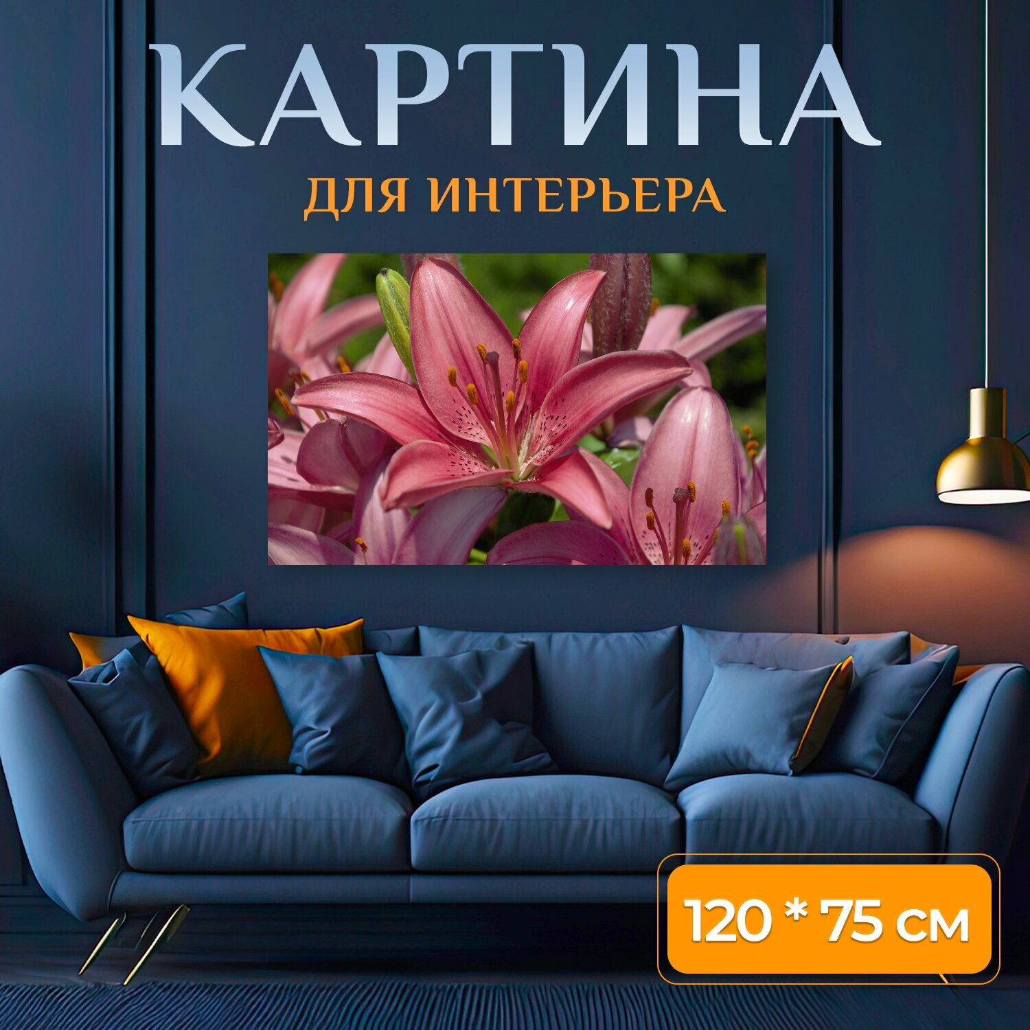 Картина на холсте "Цветы, гибридные лилии, розовый" на подрамнике 120х75 см. для интерьера