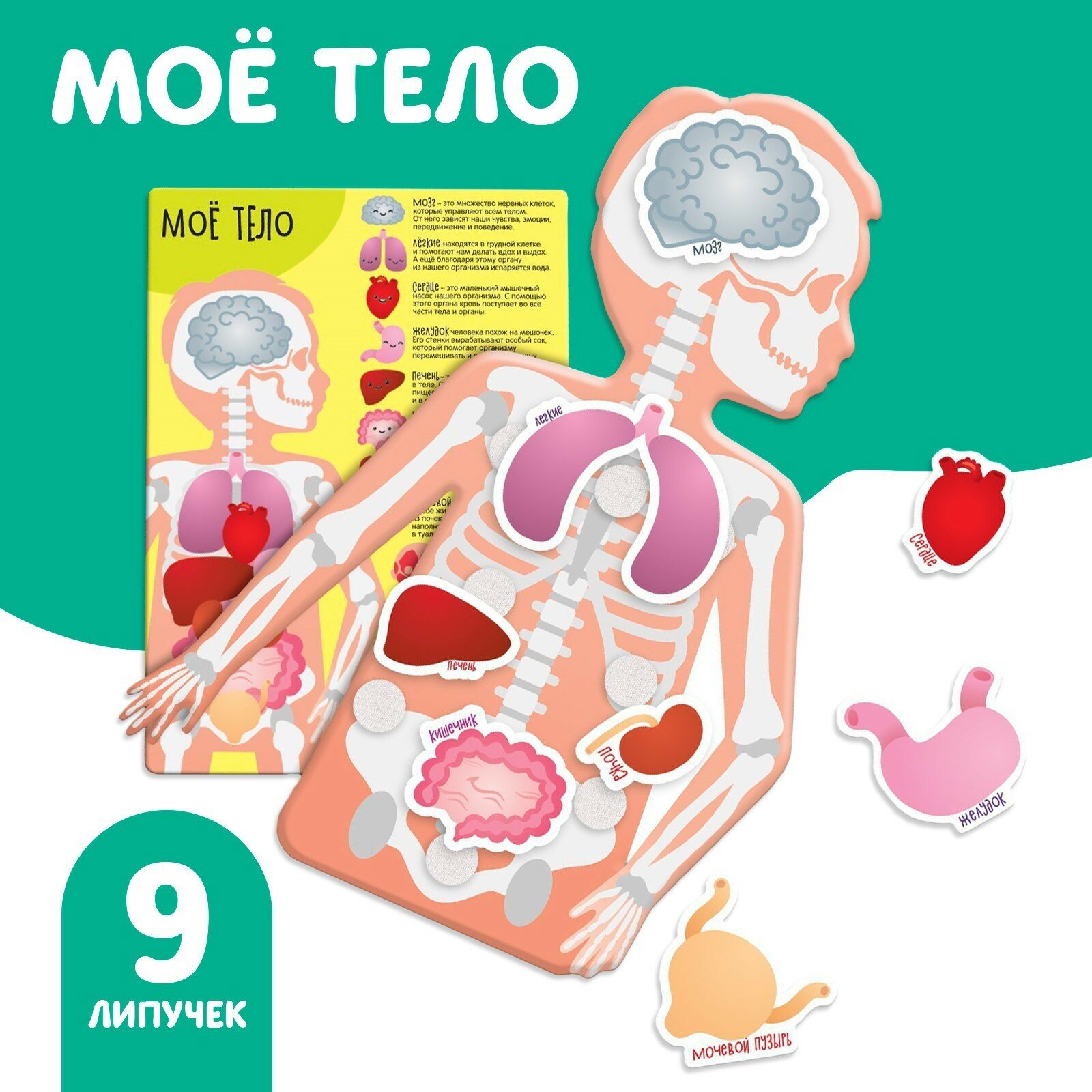 Игра Веселые липучки "Моё тело", для изучения анатомии, от 3 лет