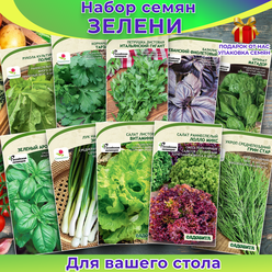 Набор семян зелени для салата рукола, петрушка, кориандр, укроп, базилик, шпинат, лук, салат Набор №90