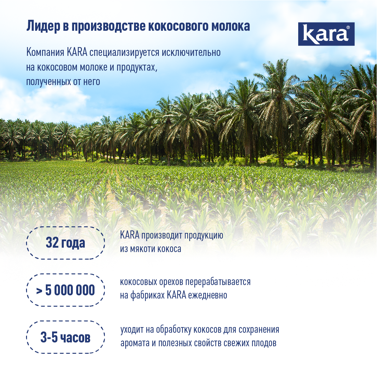 Органические кокосовые сливки Кara Organic, ж.24%, 200 мл.