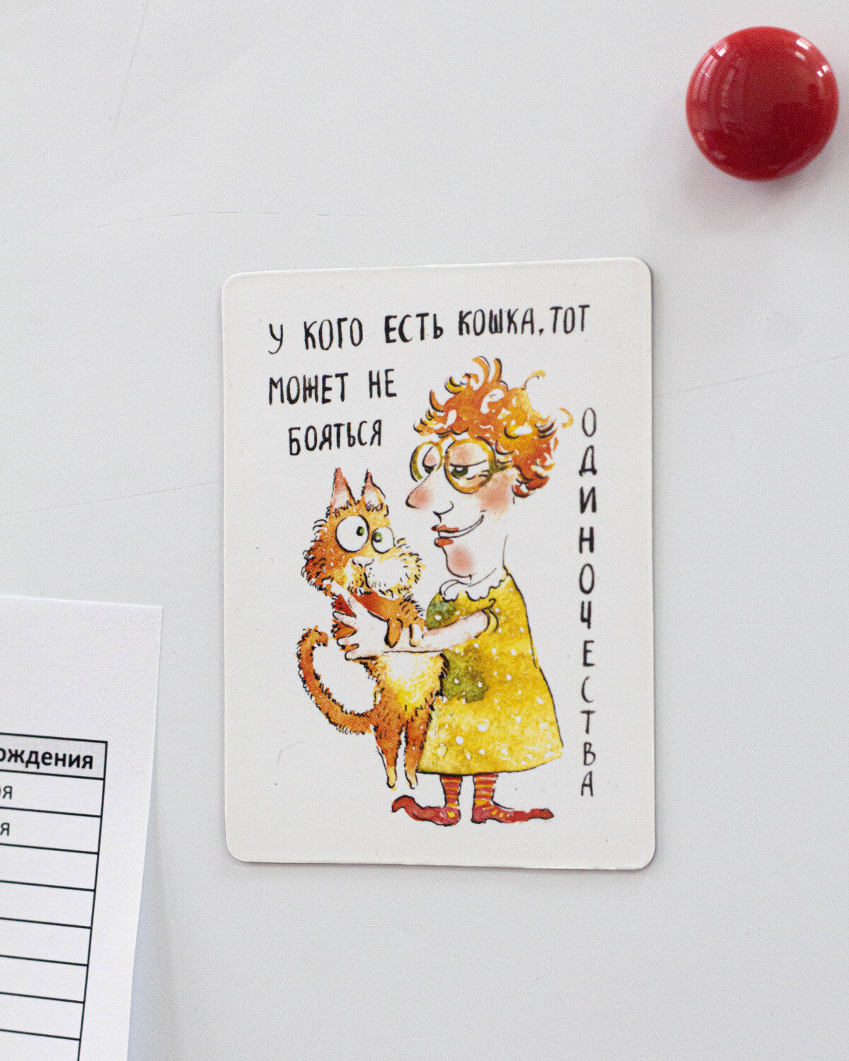 Магнит "У кого есть кошка" - фонд РЭЙ — фото 1