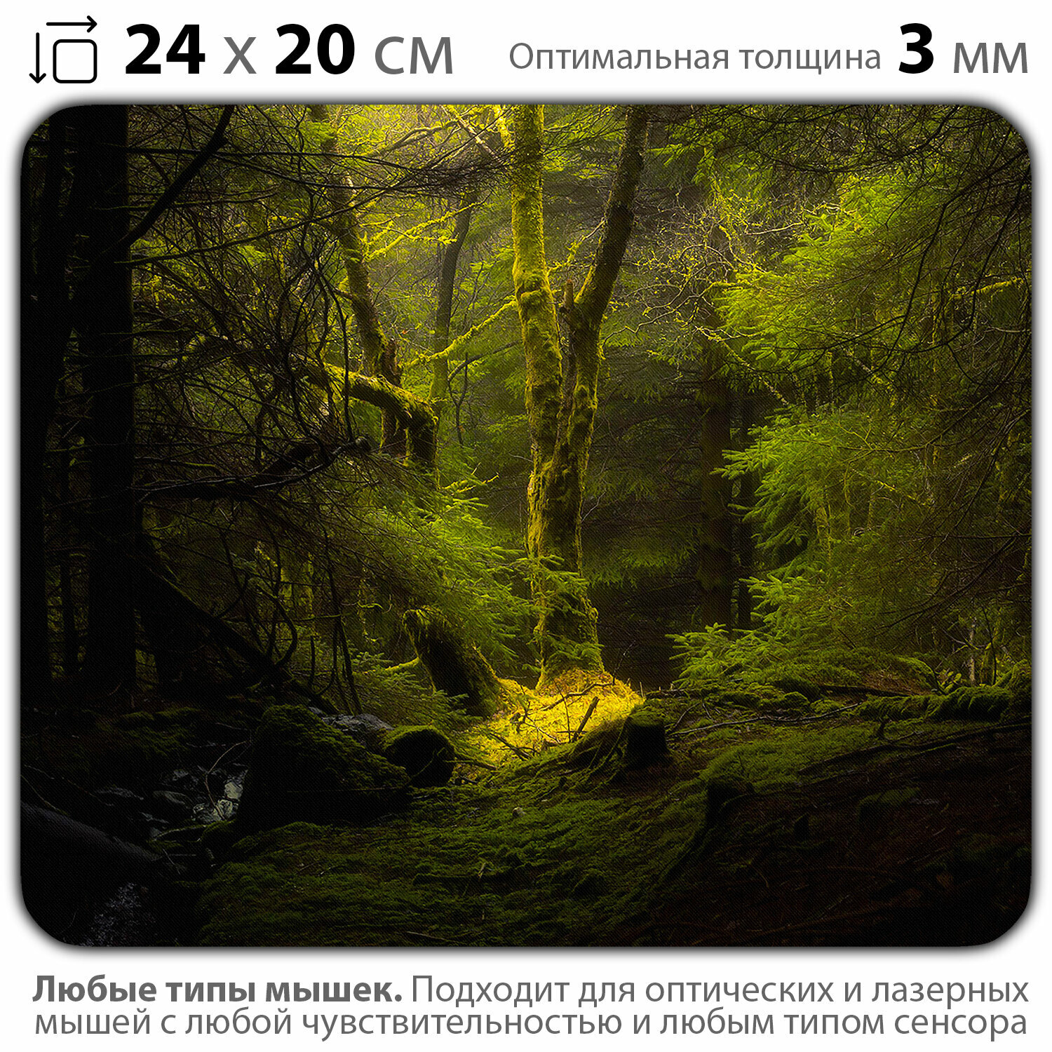 фото Коврик для мыши "Природа. Дремучий волшебный густой лес" (24 x 20 см x 3 мм)