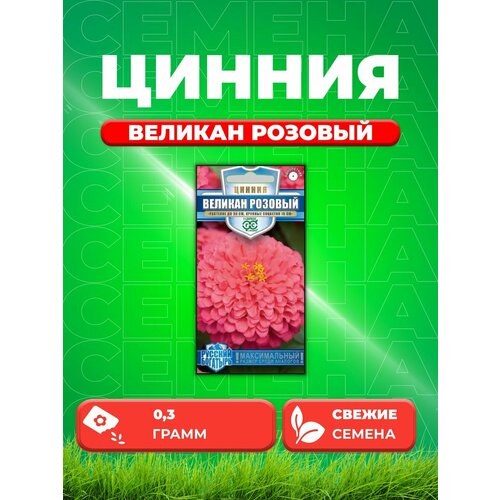 Цинния Великан розовый, 0,3г, Гавриш, Русскийбогатырь цинния великан пурпурный 0 3г одн 90см гавриш русский богатырь 10 ед товара