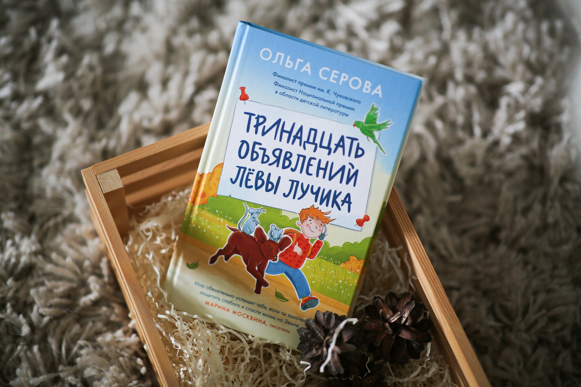 Тринадцать объявлений Левы Лучика - фото №5