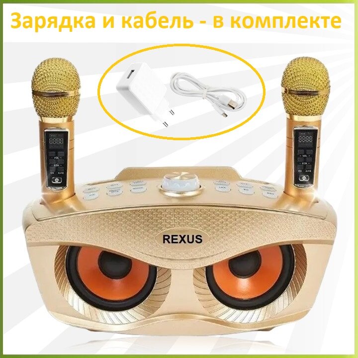 REXUS SD-306 Plus (Gold) - домашняя караоке система, изменение голоса, Bluetooth