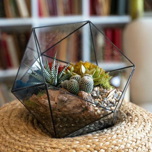 Кактусы и суккуленты ваза для флорариума Икосаэдр 5687₽