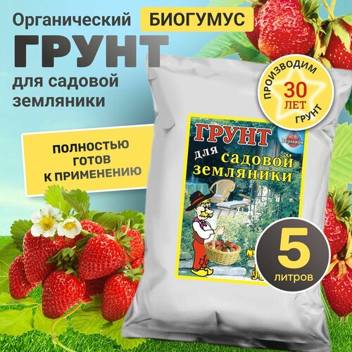 Грунт для рассады клубники и земляники садовой и домашней с биогумусом 