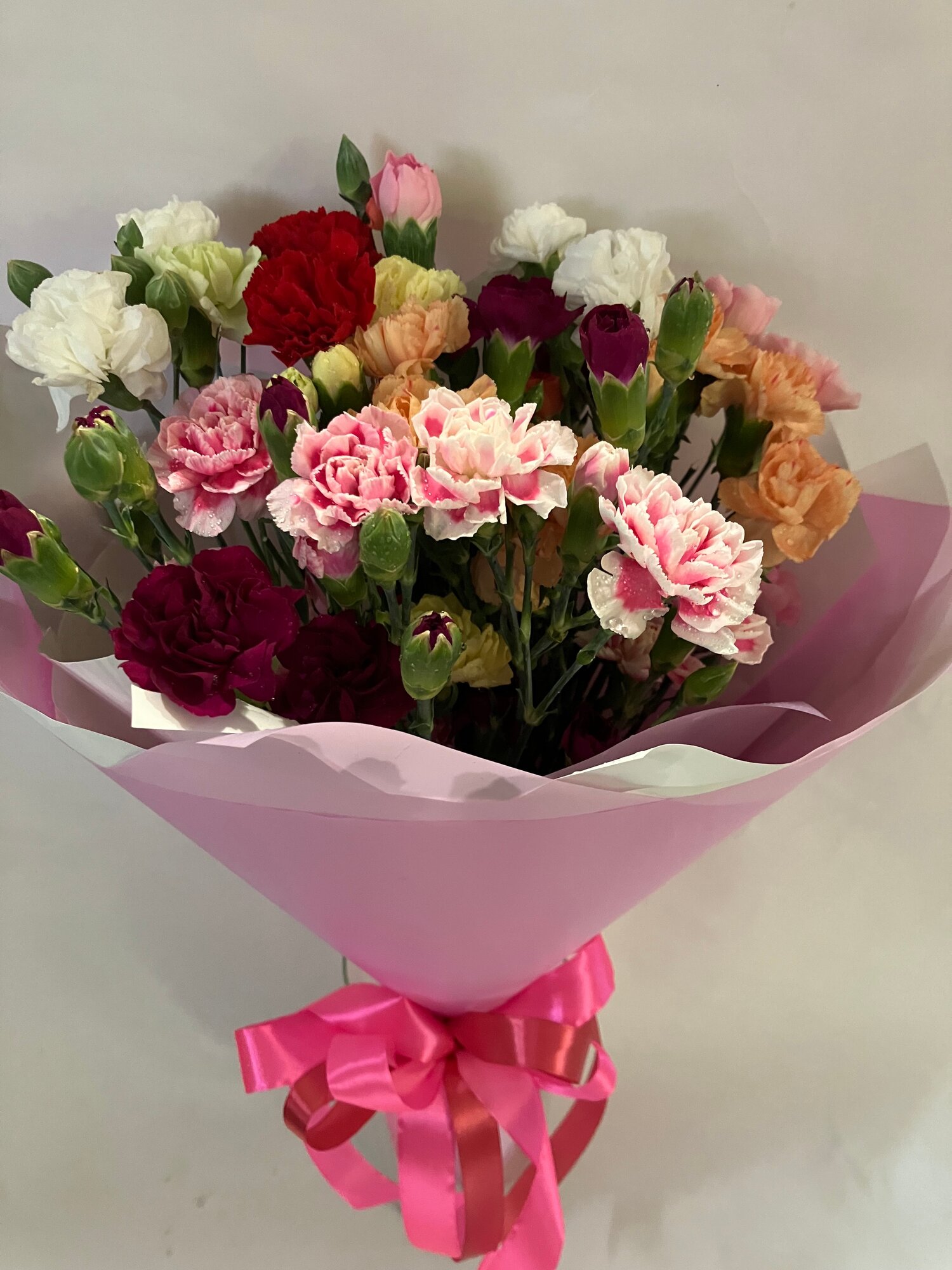 Букет из 15 свежих. кустовых гвоздик микс (5-8 расцветок) 55 см+ в дизайнерской упаковке атласный бант.