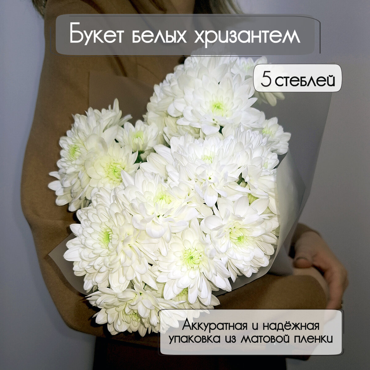 Монобукет свежих белых кустовых хризантем Baltica 5 штук. Florentika