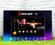 Автомагнитола Android Bos Mini T2 Qled Carplay, Wi-Fi, Bluetooth ...