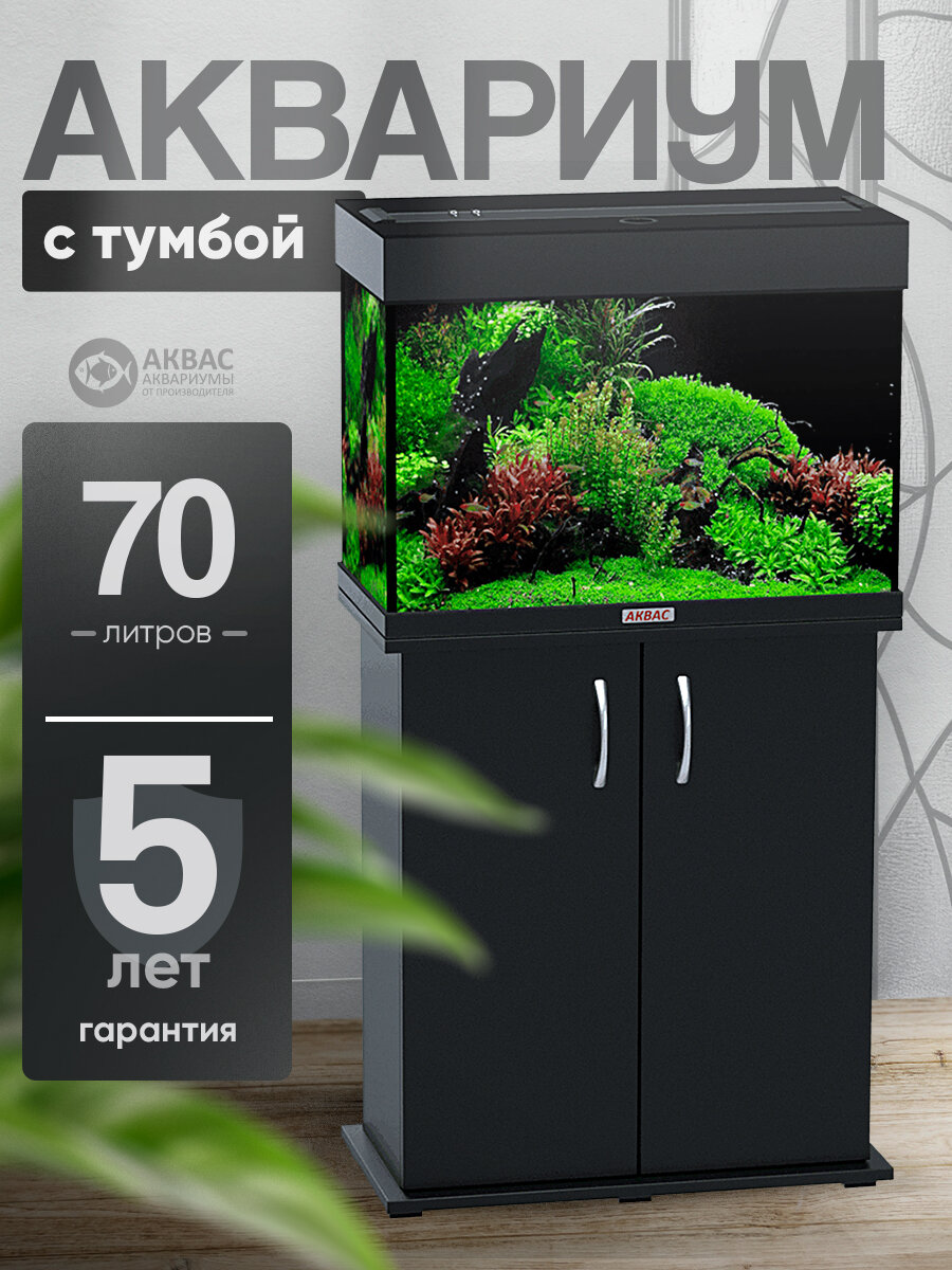 Аквариум 70 литров с тумбой крышкой и освещением (61х31х46 см) Аквас