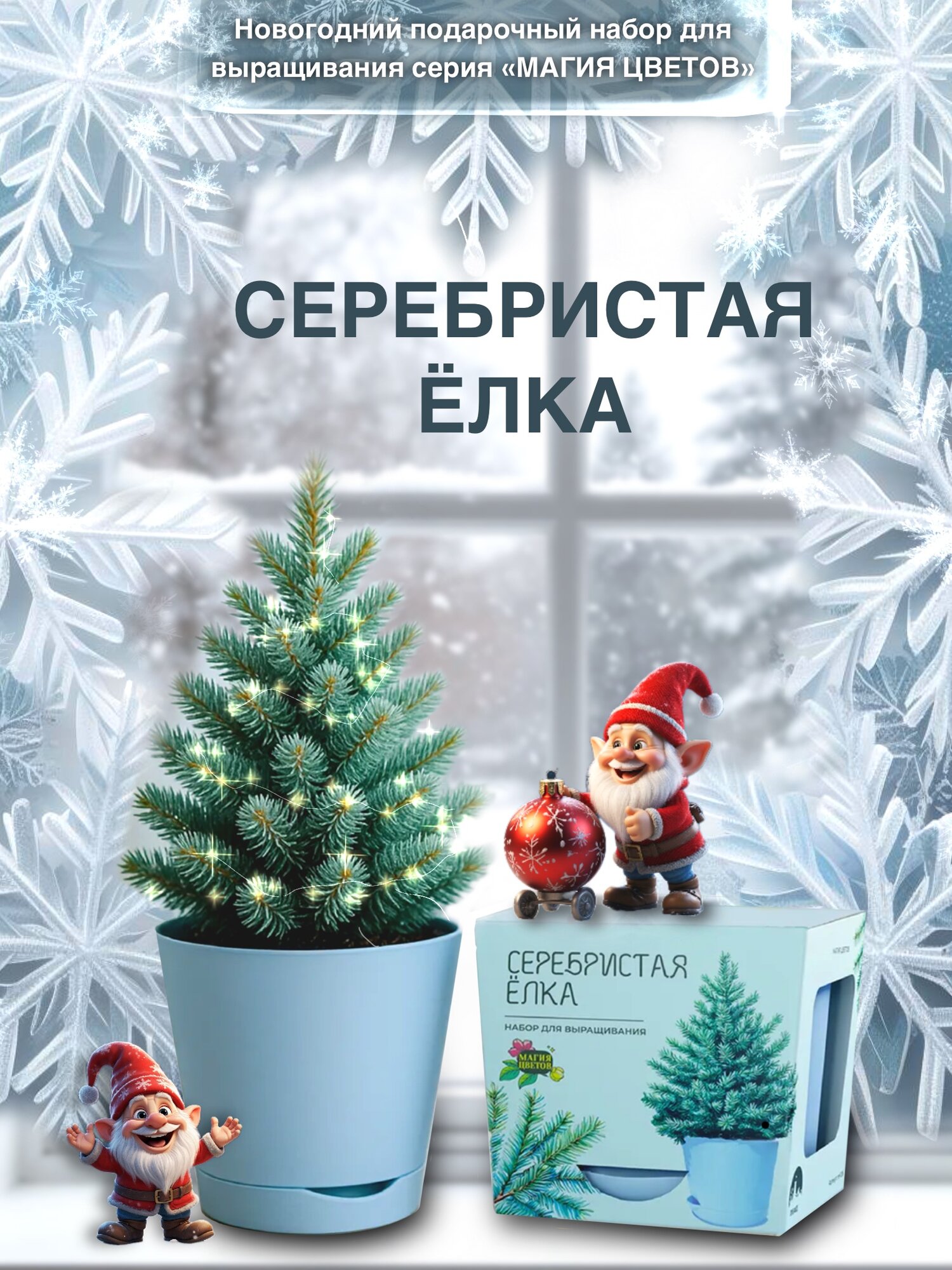 Сербская серебристая ель Набор для выращивания растений Магия Цветов