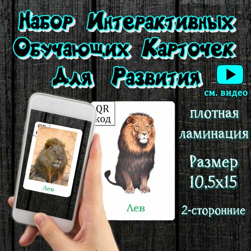 Интерактивные развивающие карточки  Животные жарких стран 