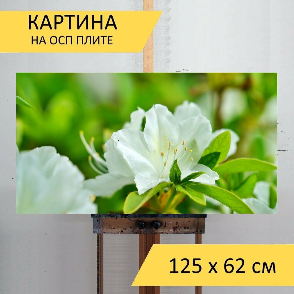 Картина на ОСП 125х62 см. 