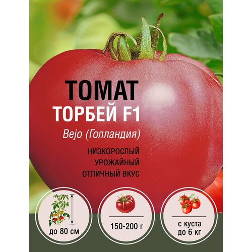 Томат Торбей F1 (1 пакет по 10 шт.)