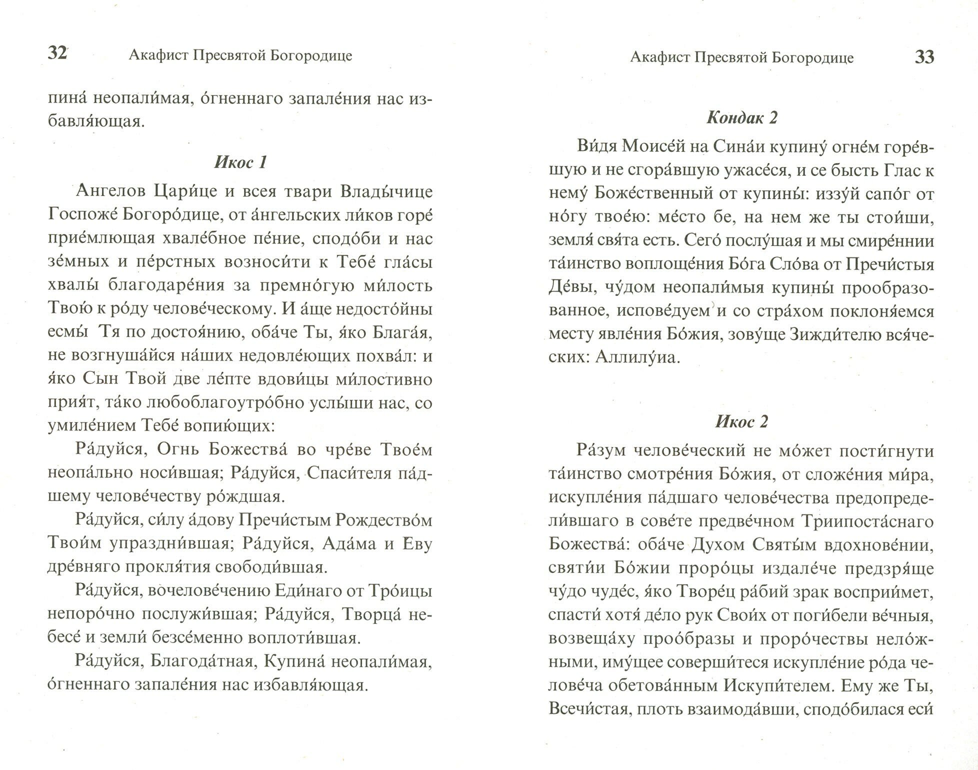Икона Пресвятой Богородицы "Неопалимая Купина". Чудеса, акафист, канон, молитвы, информация для паломников - фото №2