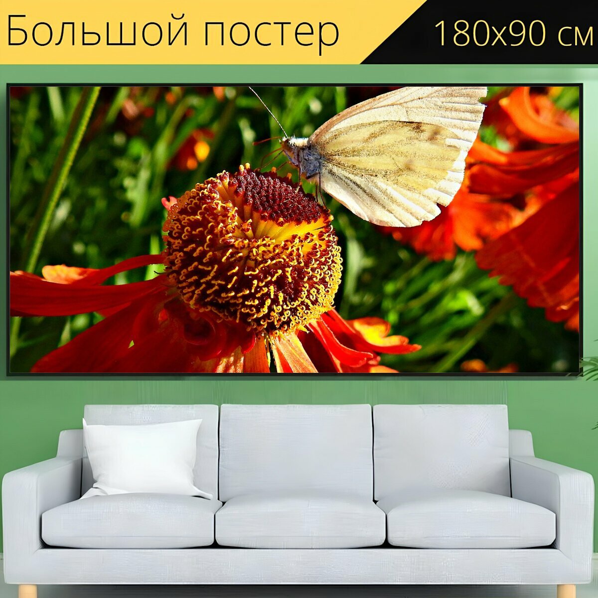 Большой постер "Бабочка, бабочка на цветке, кормление бабочки" 180 x 90 см. для интерьера