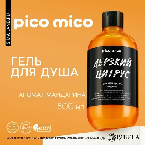 Гель для душа «Дерзкий цитрус», 500 мл, аромат мандарин, PICO MICO (арт. 10356986)