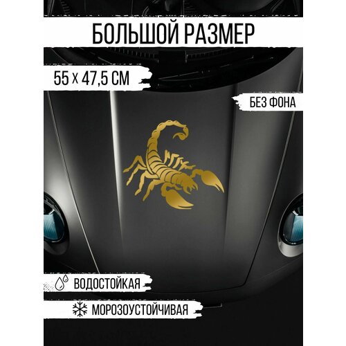 Наклейка на авто - Скорпион золотистый большая на стекло 679₽
