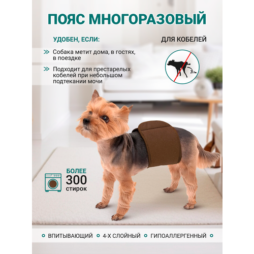 Пояс для кобелей многоразовый впитывающий OSSO, р. S (обхват талии 26-32), коричневый