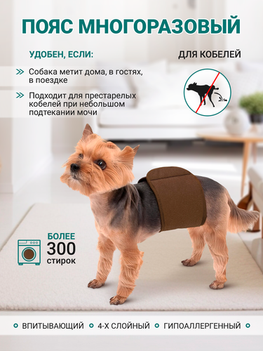 OSSO Fashion Пояс для кобелей многоразовый впитывающий, р. XS (обхват ...