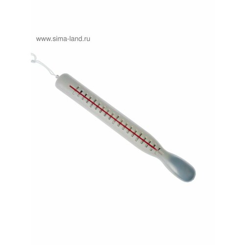 Прикол Градусник-гигант 542₽