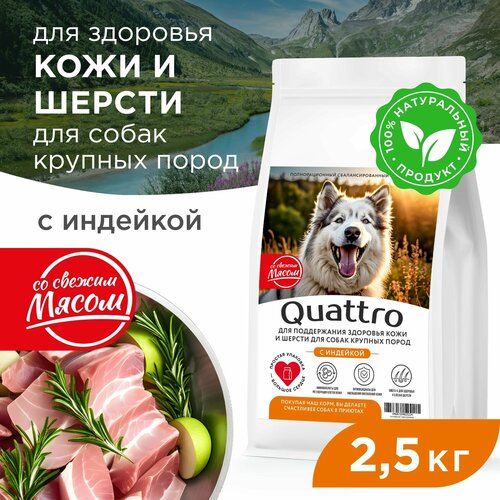 Quattro корм для взрослых собак крупных пород, здоровье кожи и шерсти, с индейкой 2,5 кг