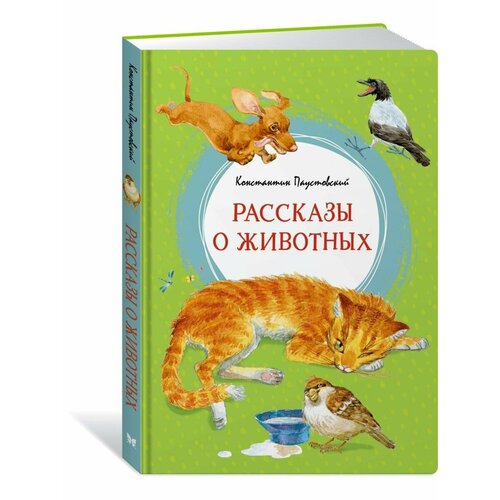 Рассказы о животных кот ворюга стихи рассказы сказки о животных