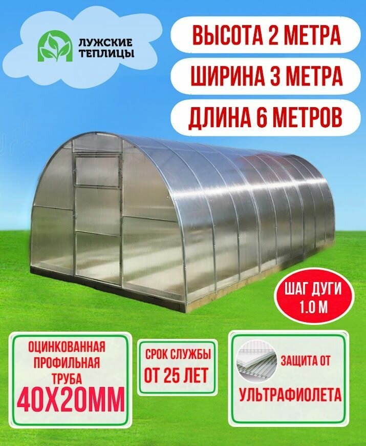 Теплица Лужская 3х6 метра, шаг дуги 1 метр, каркас из оцинкованной профильной трубы 40х20 мм, поликарбонат с УФ защитой