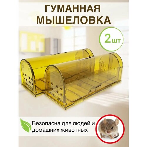 Мышеловка для мышей гуманная, 2 шт золотая золотистый