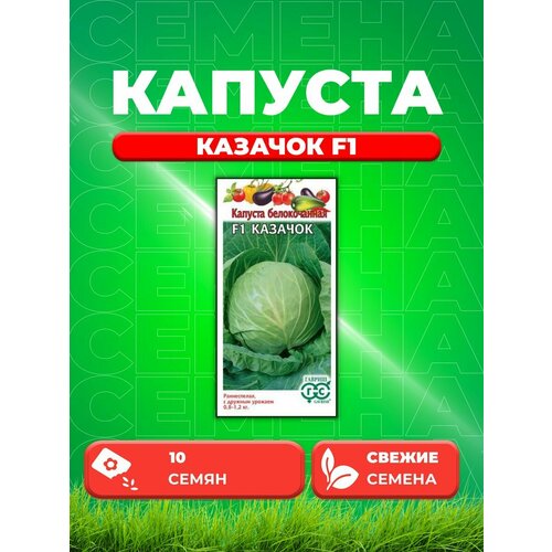 капуста белокочанная русский огород казачок f1 0 25 г Капуста белокочанная Казачок F1, 10шт, Гавриш