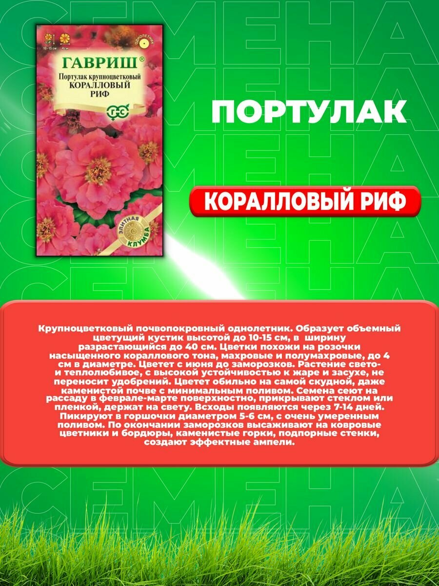 Портулак Коралловый риф* 0,01 г серия Элитная клумба