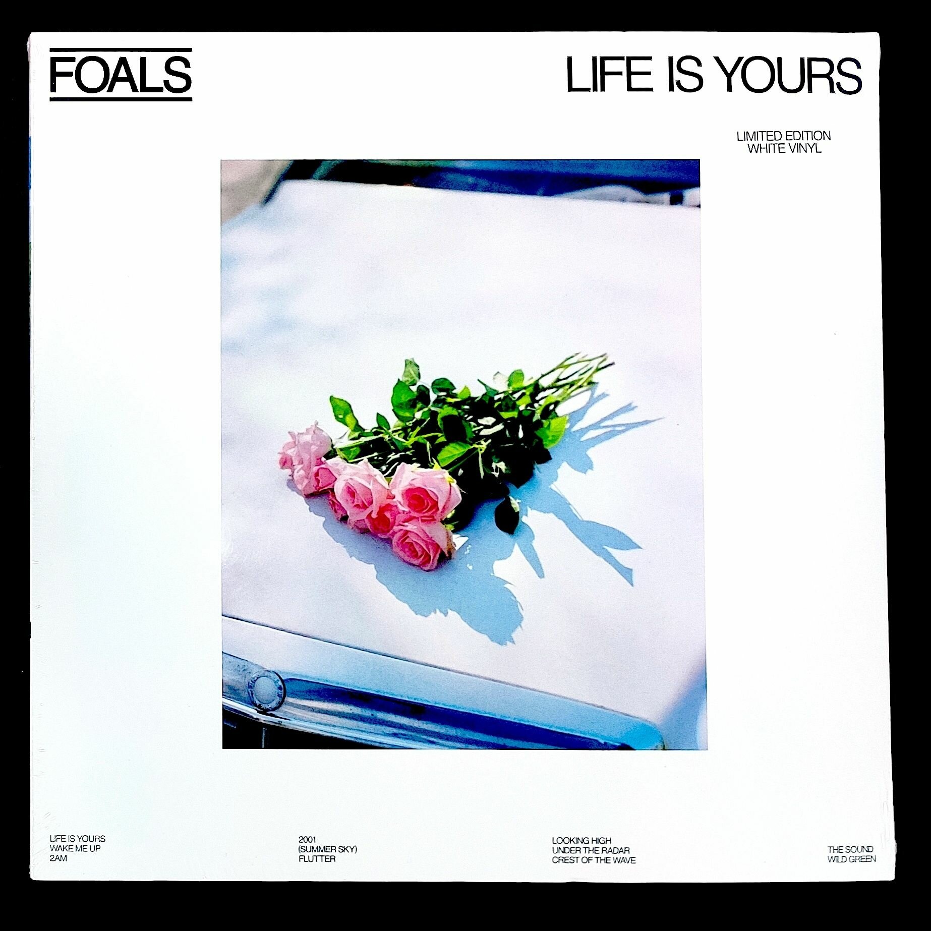 FOALS FOALS - Life Is Yours Мистерия звука - фото №17