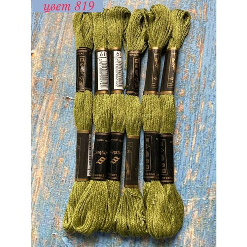 Нитки для вышивания Bestex. Цвет 819