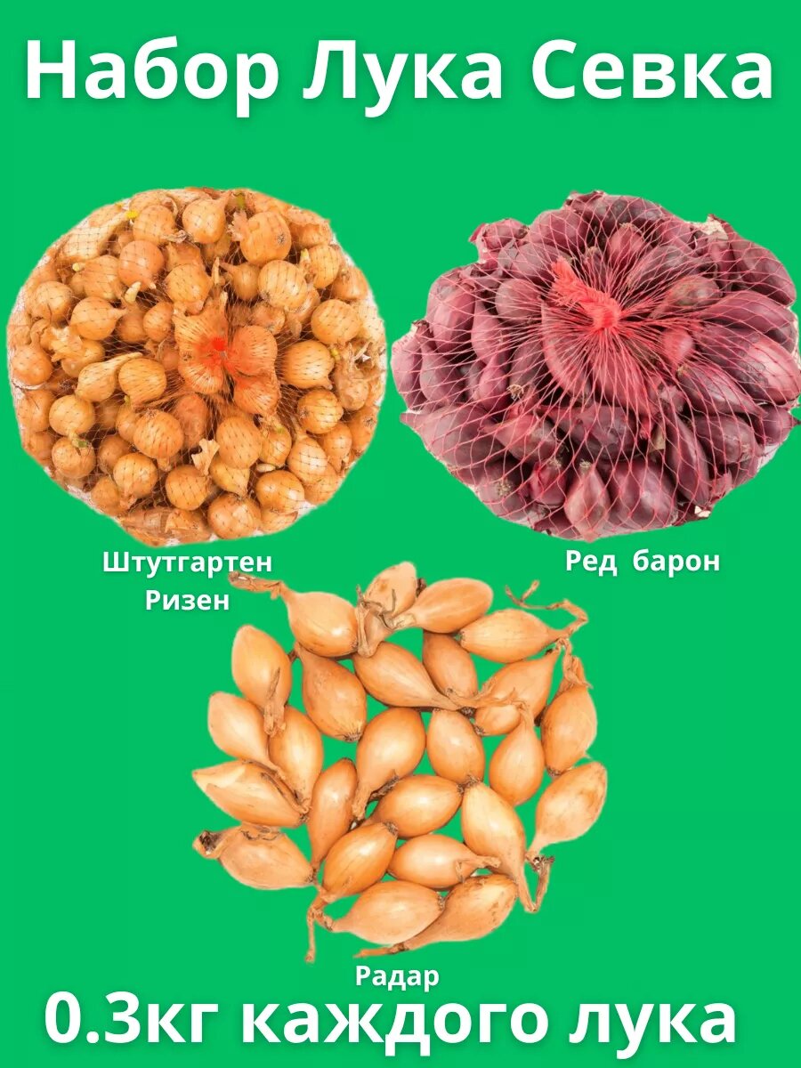 Набор Лук Севок 0.3 кг