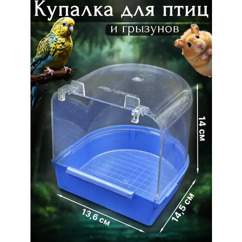 Купалка Vikki Zoo, пластик, для хомяков и грызунов, ультрамариновая