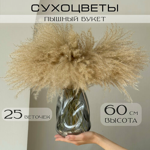 Сухоцветы для декора мискантус букет