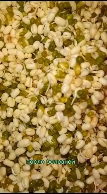 Молотый лен GREEN MAGIC Клетчатка, Омега-3, очищенный, без глютена . витамины, похудение, 270 г — фото 1