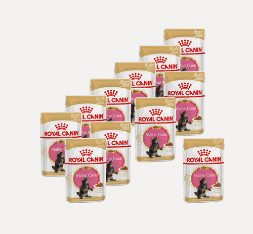 Изображение товара Royal Canin Maine Coon Kitten влажный корм для котят породы мейн-кун до 15 месяцев, в соусе, в паучах - 85 г x 12 шт