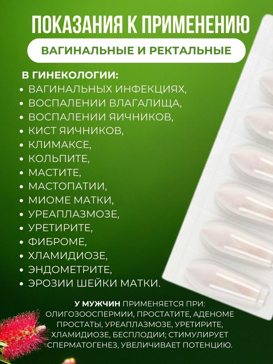 Картинки Свечи с Красной щёткой, при инфекциях, воспалениях, аденоме простаты, для потенции 7шт.
