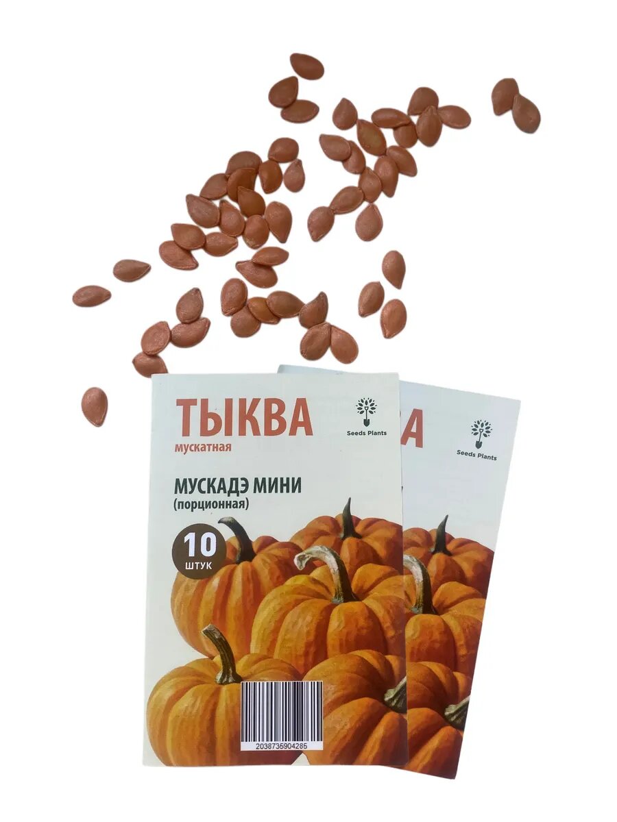 Семена мини тыквы порционной мускатной 2 упаковки