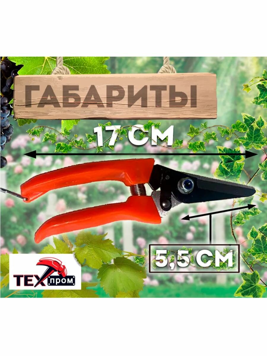 Секатор техпром S 5037/1, нержавеющая сталь, красно-оранжевый — фото 1