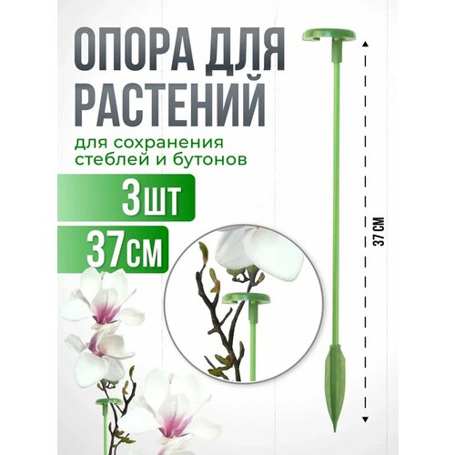фото Опора для растений с кольцом, колышки садовые для рассады, для орхидей , комнатных цветов 37 см 3 шт агромадана
