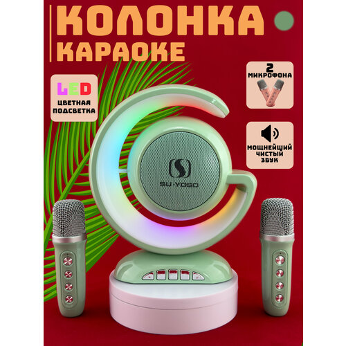 Караоке-система с LED-подсветкой и двумя микрофонами зеленый караоке колонка с led подсветкой и двумя микрофонами