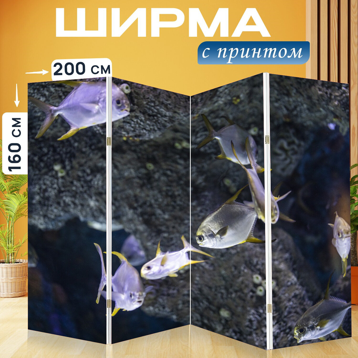 Ширма перегородка с принтом "Рыба, рыбы, море" на холсте - 200x160 см. для зонирования, раскладная