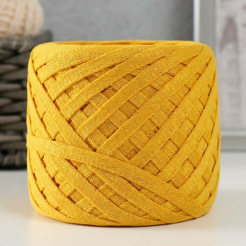 Трикотажная пряжа Риббон 85м1705 гр Горчица 847₽