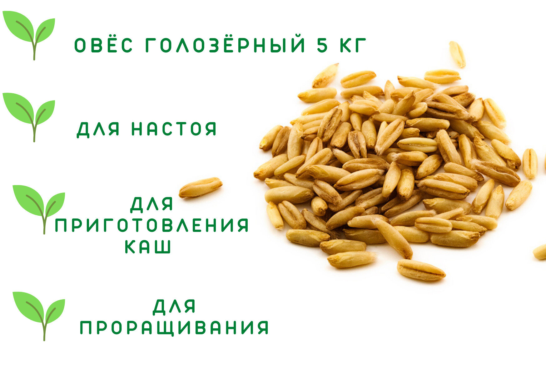 Овёс для проращивания голозёрный 5 кг