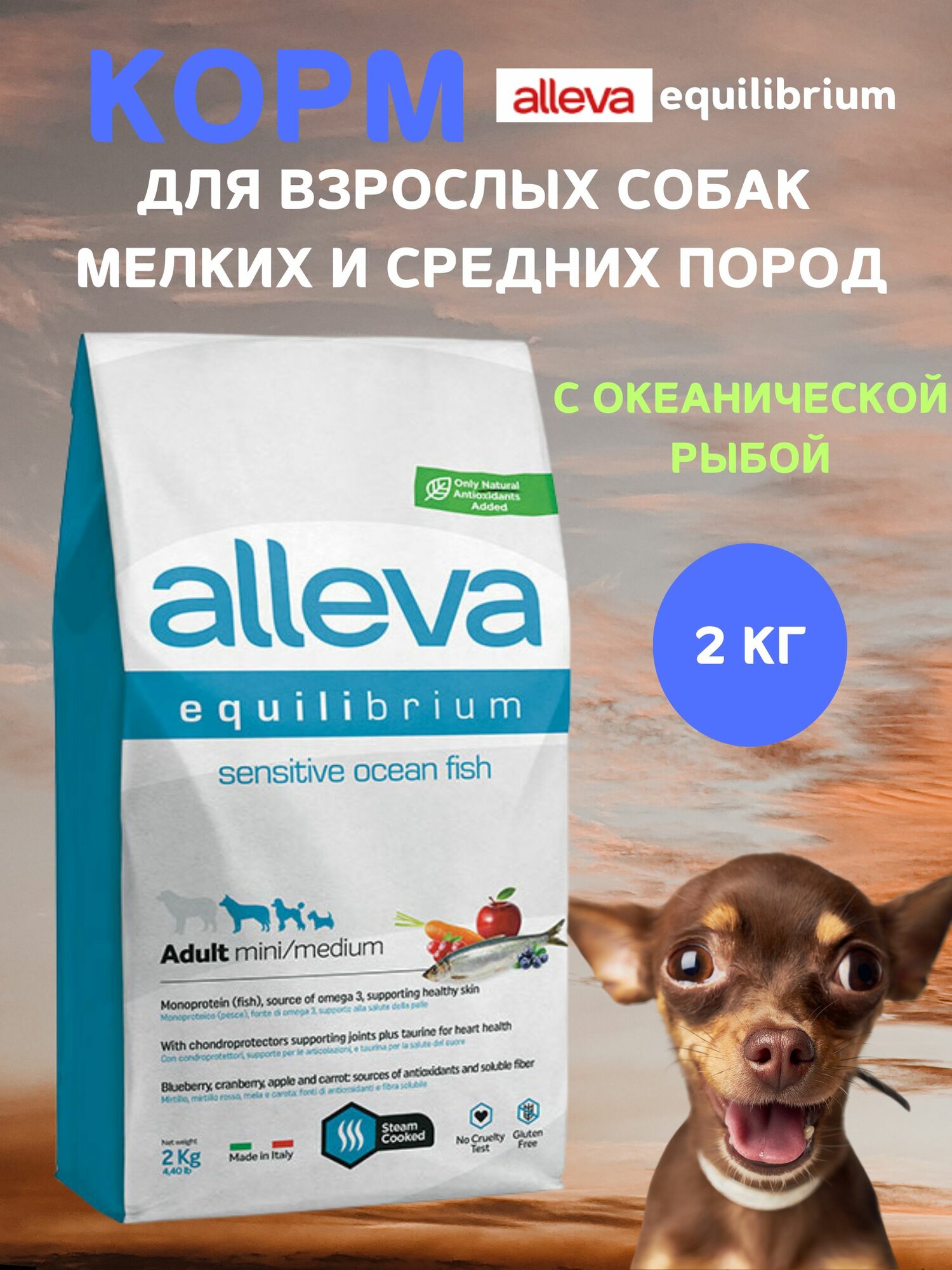 Корм Alleva Эквилибриум Сенситив для взрослых собак мелких и средних пород, с океанической рыбой, 2 кг