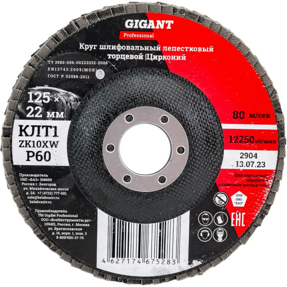 Изображение Круг лепестковый Gigant Professional 125х22.2 мм, P60, цирконий